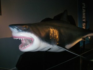 Marele rechin alb